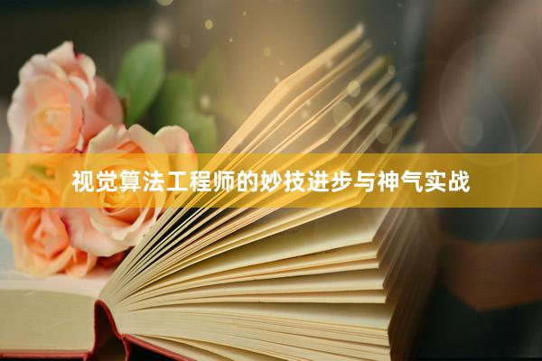 视觉算法工程师的妙技进步与神气实战